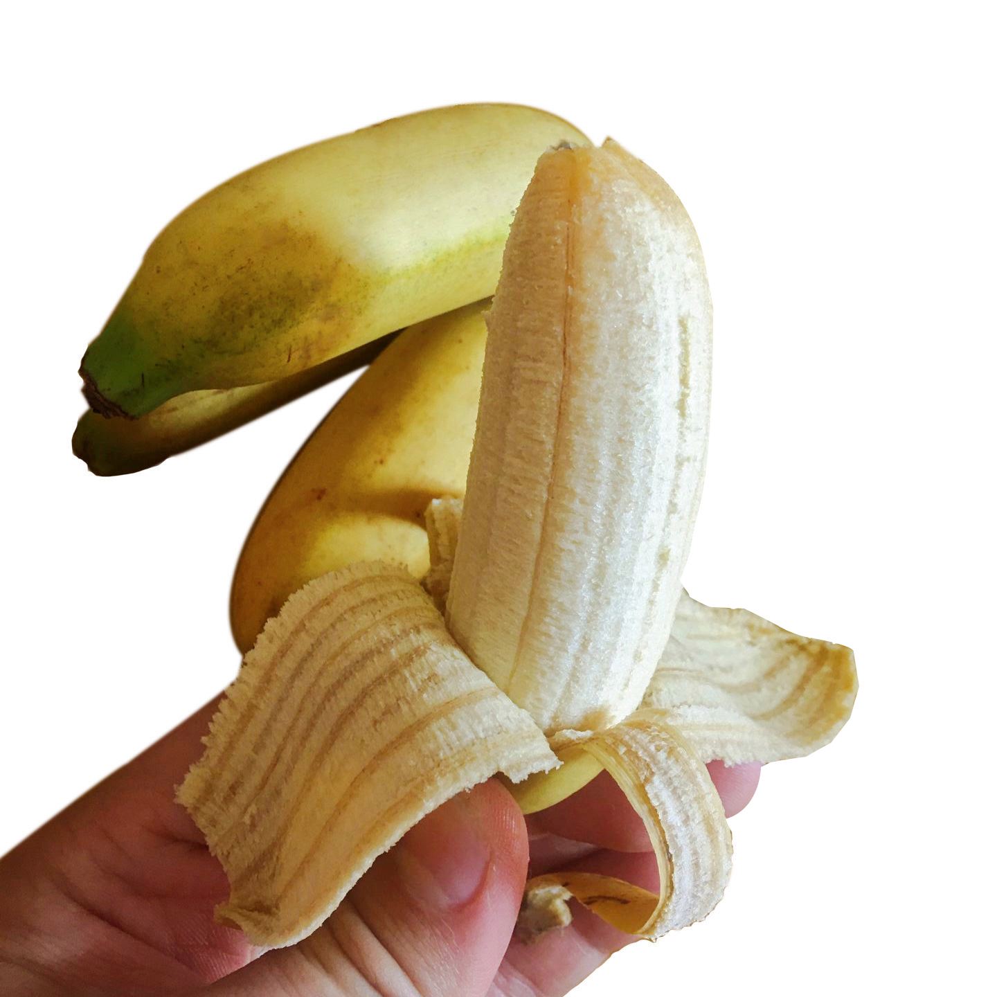 苹果版香蕉香蕉的功效与作用-第2张图片-亚星国际官网
